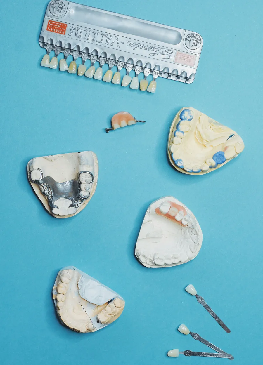 Modelli in gesso, scheletrati e scala dei colori dei denti disposti su un fondo azzurro